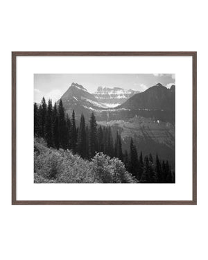 Governor's Office Art: Ansel Adams, Trees, Bushes And Mountains, Glacier National Park, Montana - National Parks And Monuments