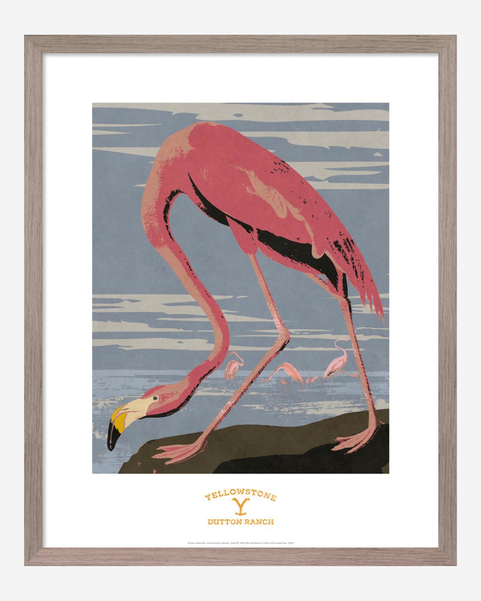 Kayce And Monica's Bathroom Art: Bg.Studio, Audubon Decor - American Flamingo