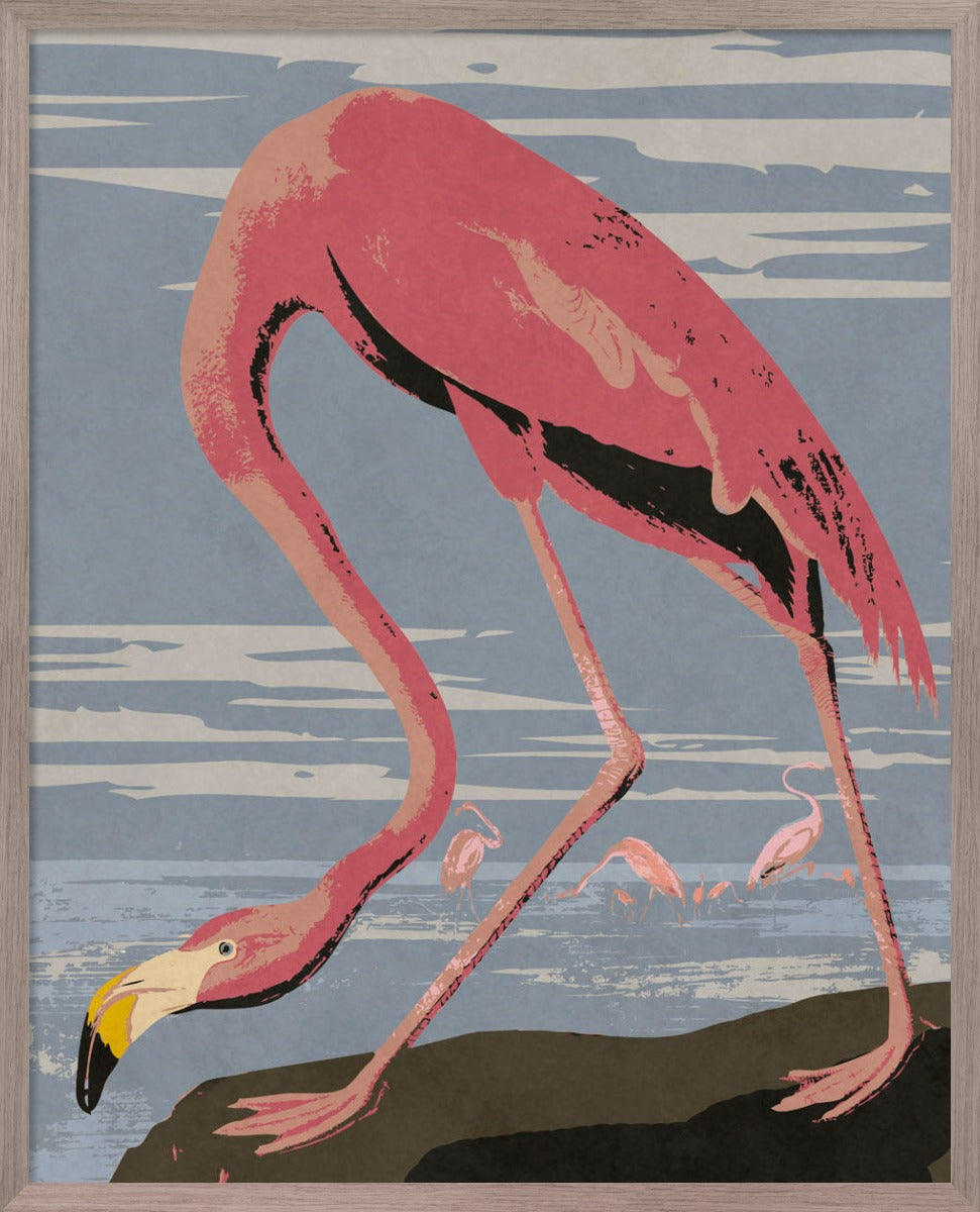 Kayce And Monica's Bathroom Art: Bg.Studio, Audubon Decor - American Flamingo