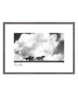 Four Horses Running by Yellowstone Set Photographer Emerson "Paco" Miller (Signed Edition)