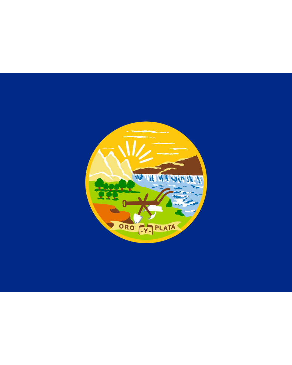 First Montana Infantry, Montana Flag, 1905