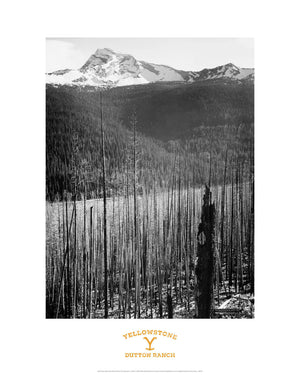 Ansel Adams, Burned Area