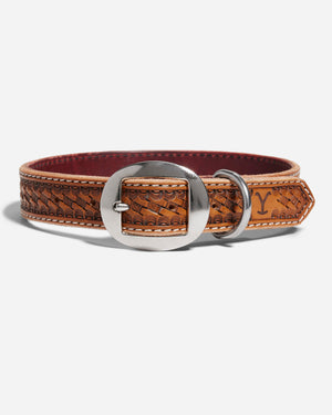 Handmade Dog Collars With Y Branded Pattern